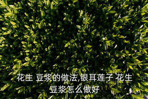  花生 豆漿的做法,銀耳蓮子 花生 豆漿怎么做好