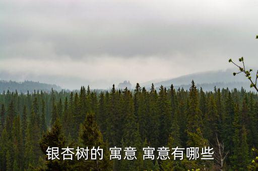  銀杏樹的 寓意 寓意有哪些