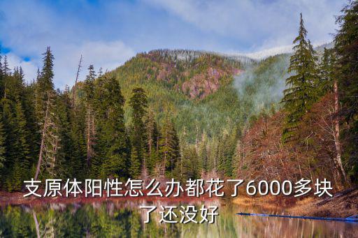 支原體陽性怎么辦都花了6000多塊了還沒好