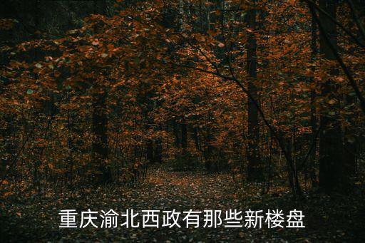 重慶渝北西政有那些新樓盤(pán)