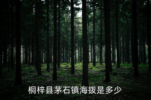 桐梓縣茅石鎮(zhèn)海撥是多少