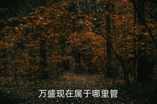 萬盛現(xiàn)在屬于哪里管