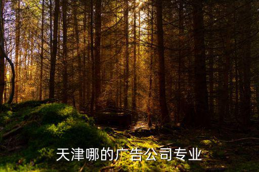 天津哪的廣告公司專業