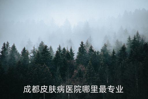 成都皮膚病醫院哪里最專業