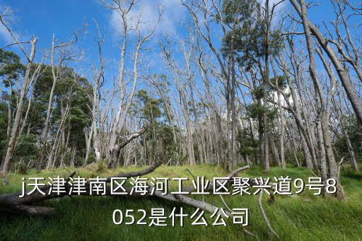 j天津津南區(qū)海河工業(yè)區(qū)聚興道9號8052是什么公司