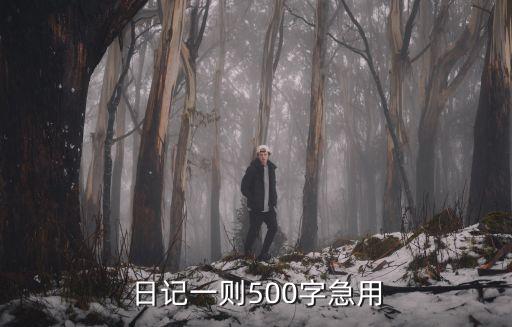 日記一則500字急用