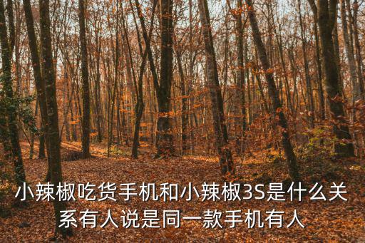 小辣椒吃貨手機(jī)和小辣椒3S是什么關(guān)系有人說(shuō)是同一款手機(jī)有人