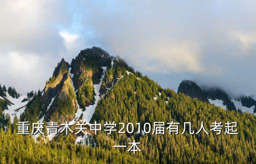 重慶市清木關中學，重慶青木關中學2010屆有幾人考起一本