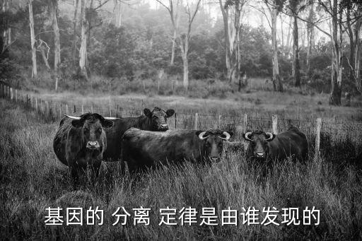 基因的分離定律,孟德爾分離定律揭示基因遺傳規(guī)律