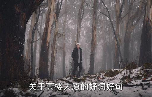 關(guān)于高樓大廈的好詞好句