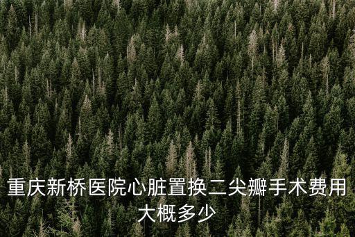 重慶新橋醫院心臟置換二尖瓣手術費用大概多少