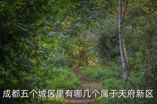 成都市天府新區屬哪個區，成都市天府新區華陽萬科海悅匯城西區屬于哪個區