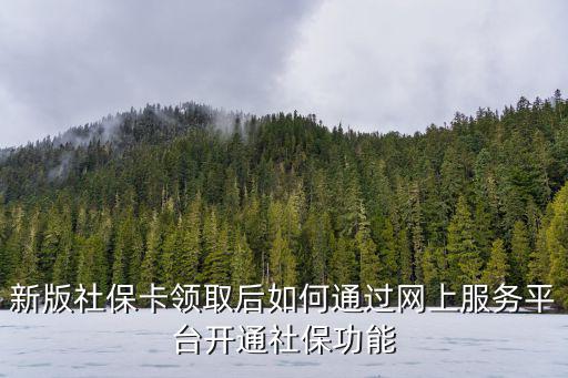 新版社保卡領取后如何通過網上服務平臺開通社保功能