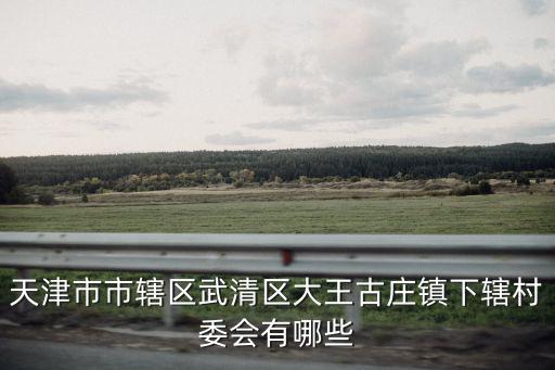 天津市市轄區武清區大王古莊鎮下轄村委會有哪些