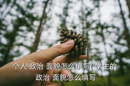 個人 政治 面貌怎么填寫( 學生的 政治 面貌怎么填寫