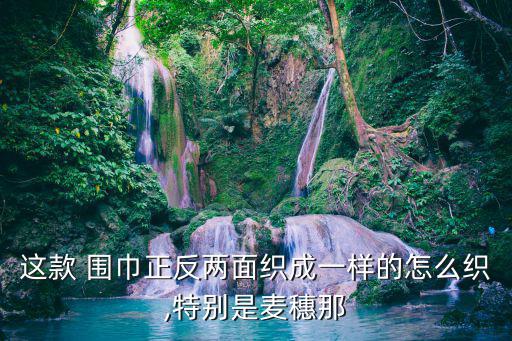 這款 圍巾正反兩面織成一樣的怎么織,特別是麥穗那
