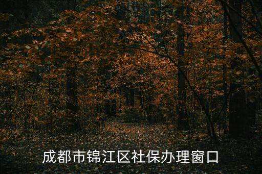 成都市錦江區社保辦理窗口