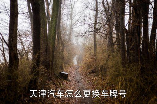 天津汽車怎么更換車牌號