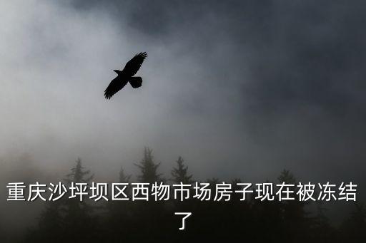 重慶沙坪壩區西物市場房子現在被凍結了