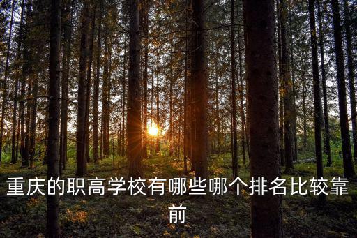 重慶的職高學(xué)校有哪些哪個(gè)排名比較靠前