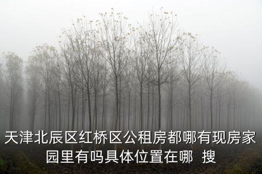 天津北辰區紅橋區公租房都哪有現房家園里有嗎具體位置在哪  搜