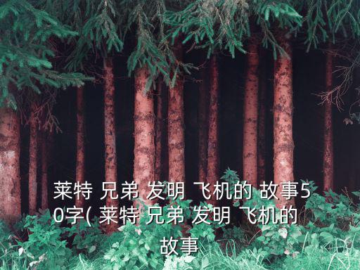  萊特 兄弟 發(fā)明 飛機的 故事50字( 萊特 兄弟 發(fā)明 飛機的 故事