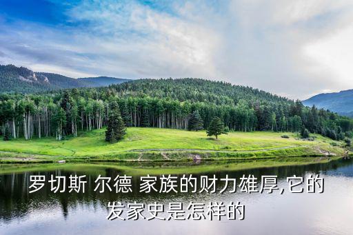 羅切斯 爾德 家族的財(cái)力雄厚,它的發(fā)家史是怎樣的
