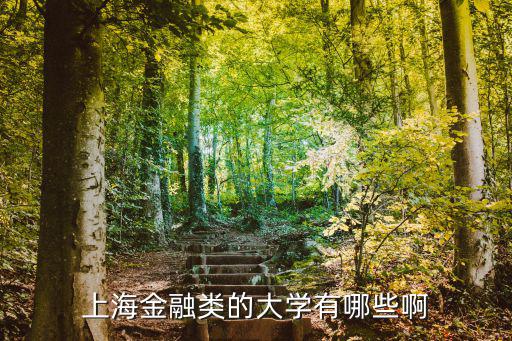 上海金融類的大學有哪些啊