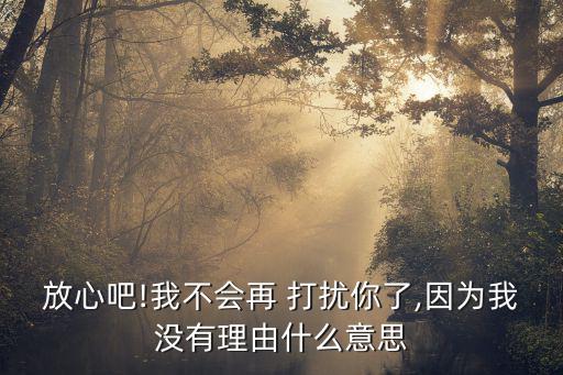 再也不會打擾你,以后我不會打擾你狠話不介入意味著和你無關系