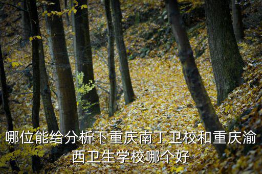 哪位能給分析下重慶南丁衛(wèi)校和重慶渝西衛(wèi)生學校哪個好