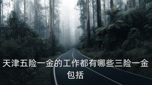 天津五險(xiǎn)一金的工作都有哪些三險(xiǎn)一金包括