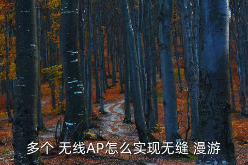 多個 無線AP怎么實現(xiàn)無縫 漫游
