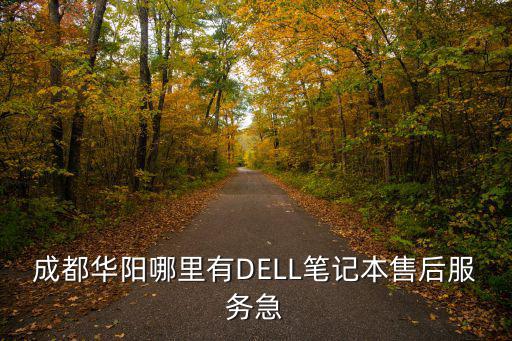 成都華陽哪里有DELL筆記本售后服務急