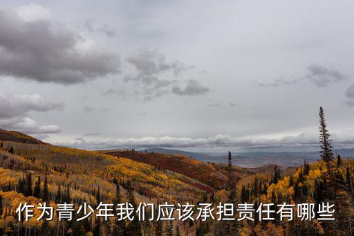 作為青少年我們應該承擔責任有哪些