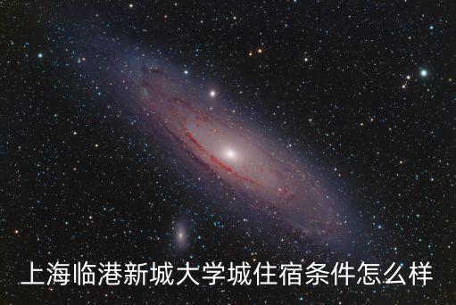 臨港 別墅，青島臨港學院附近的住宿推薦