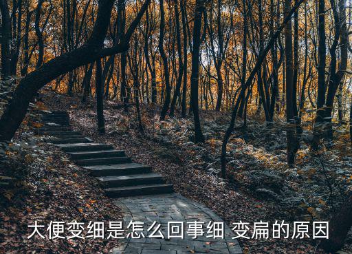  大便變細是怎么回事細 變扁的原因