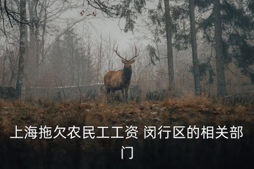上海拖欠農民工工資 閔行區的相關部門