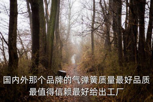 國內外那個品牌的氣彈簧質量最好品質最值得信賴最好給出工廠