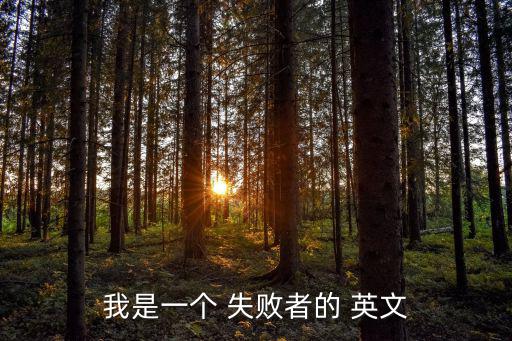 我是一個(gè) 失敗者的 英文