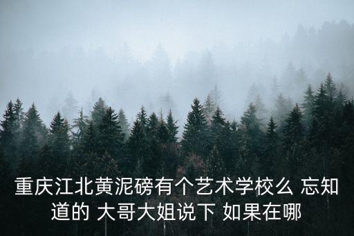 重慶江北黃泥磅有個藝術學校么 忘知道的 大哥大姐說下 如果在哪