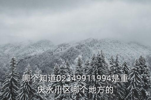 哪個知道02349911994是重慶永川區(qū)哪個地方的