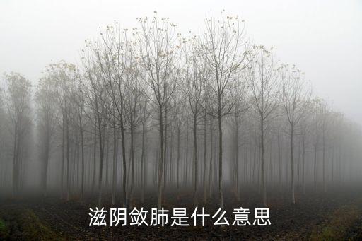 滋陰斂肺是什么意思