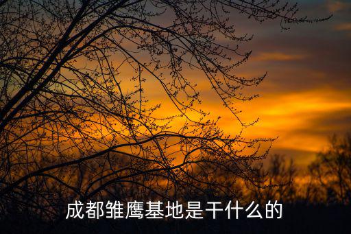 成都雛鷹基地是干什么的