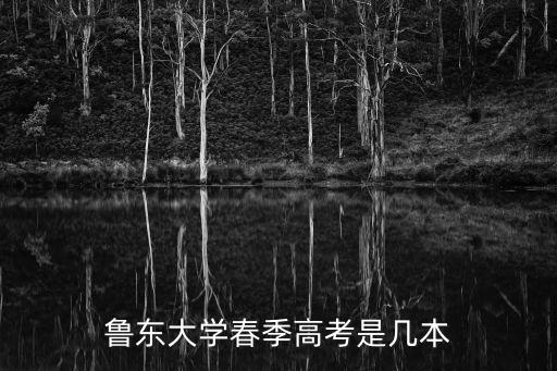 魯東大學(xué)春季高考是幾本