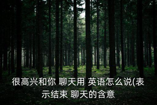 很高興和你 聊天用 英語怎么說(表示結束 聊天的含意