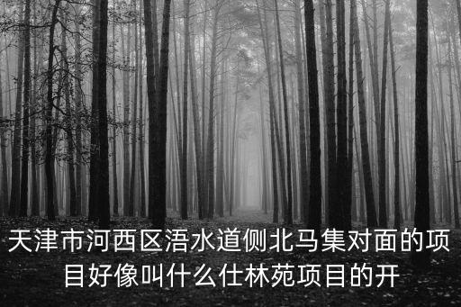 天津市河西區(qū)浯水道側(cè)北馬集對(duì)面的項(xiàng)目好像叫什么仕林苑項(xiàng)目的開
