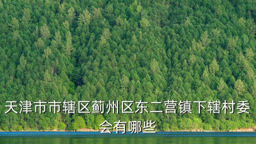 天津市北小律莊，薊縣北小律莊屬于什么鎮