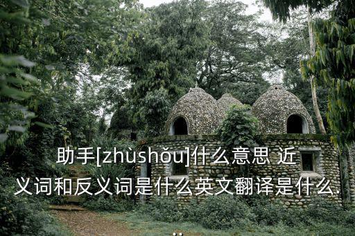 幫手的近義詞,你是我的助手第二集:助學(xué)金的發(fā)音是什么?