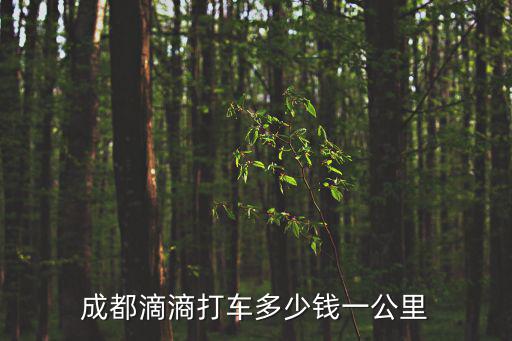 成都市打的起步價多少錢，成都的士要多少錢
