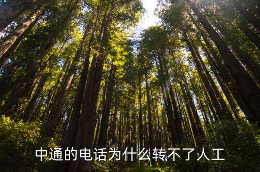 中通的電話為什么轉(zhuǎn)不了人工